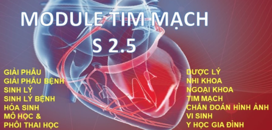 Module S2.5 - Tim mạch