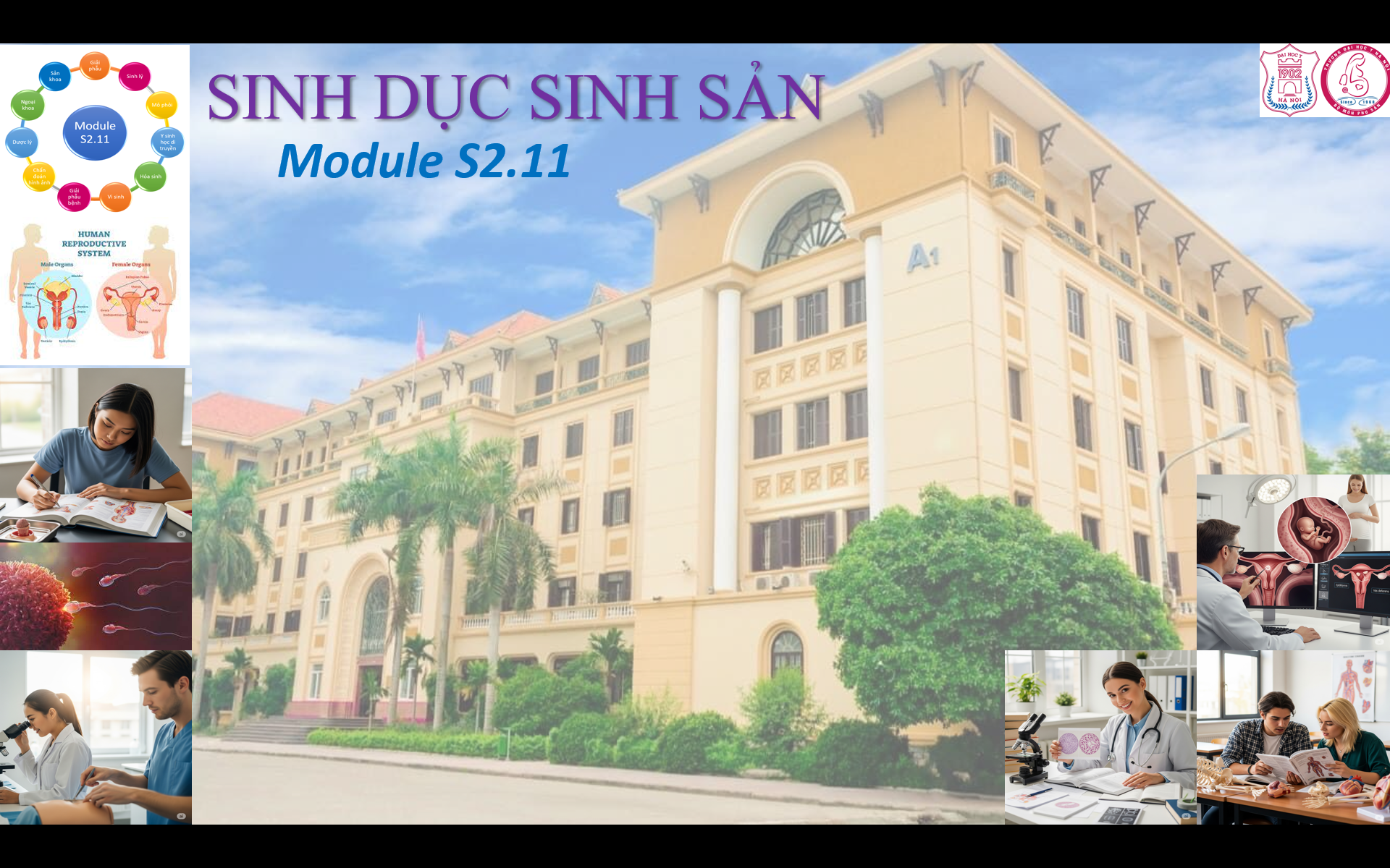 Module S2.11 - Sinh dục - Sinh sản