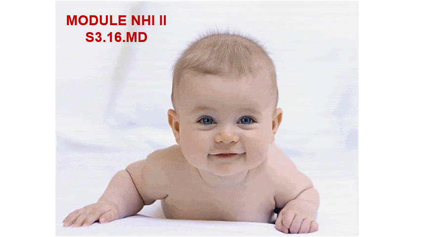 Module S3.16 - Nhi khoa II