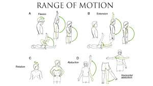 ASSE01 - Lượng giá chức năng vận động